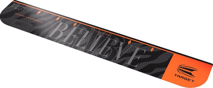 Target - Raymond Van Barneveld - Oche - Direct Darts - 2